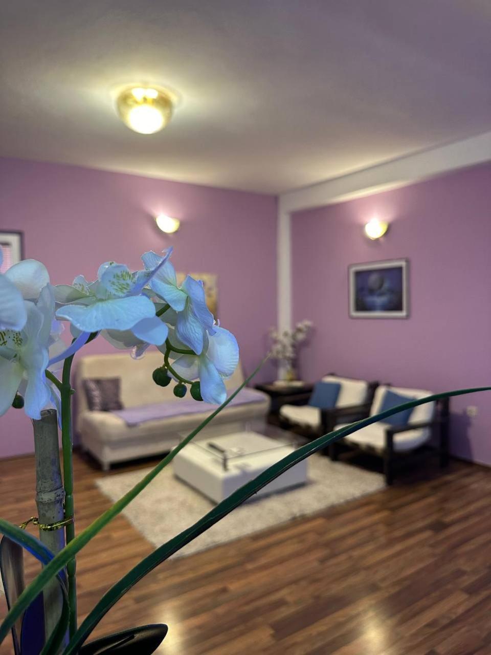 Riaho Apartment Mostar Zewnętrze zdjęcie